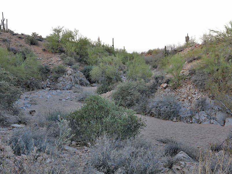 arroyo