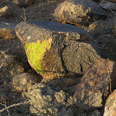 rocks