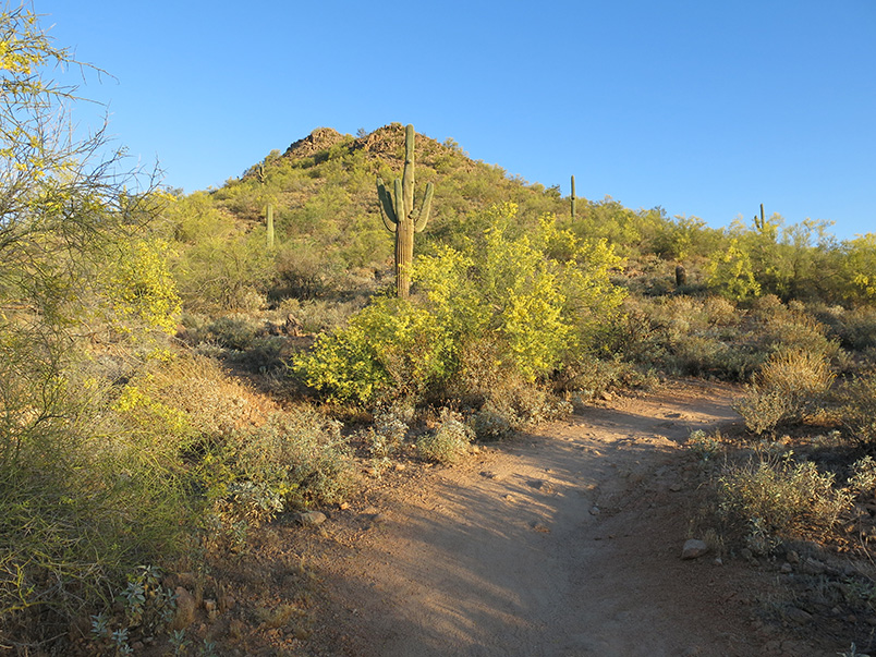trail